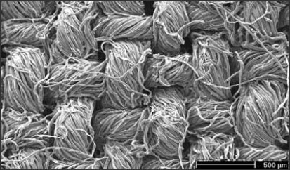  A Scanning Electron Microscopic (SEM) picture of silver nanoparticles loaded on grafted cotton fabric.