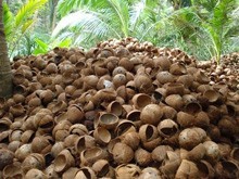 Coco Origin Life : Makers of Coconut Fibre Items