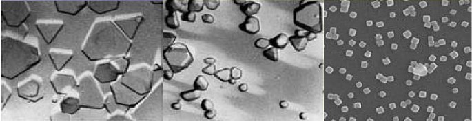 Fig. 4 : Silver nano particles, different in size and distribution on the fibers surface