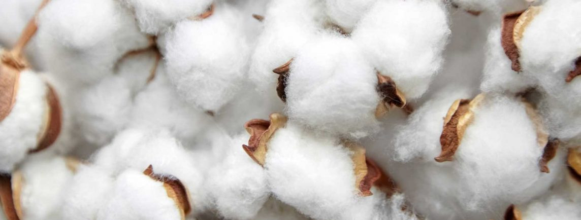 U.S. Cotton Trust Protocol joins the Cotton 2040’s platform and sustainability guide cotton