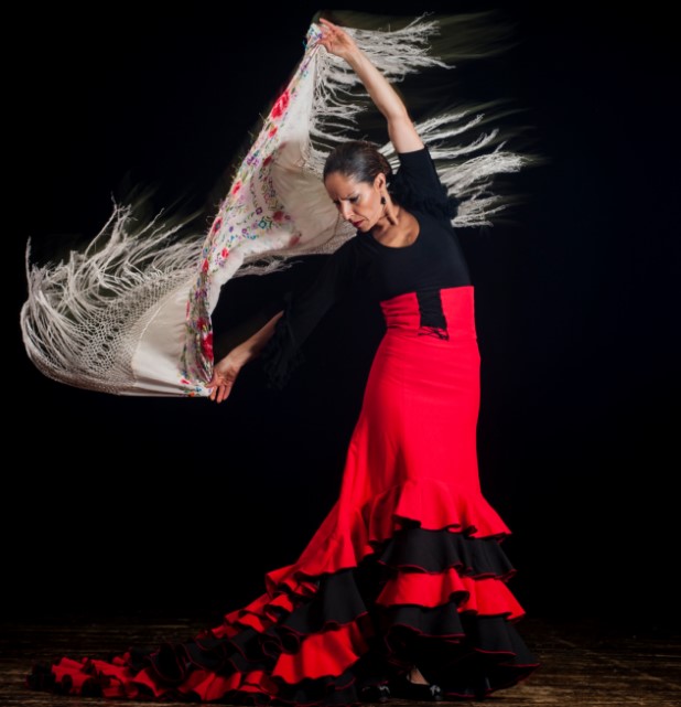 Flamenco dancer Image Credits Wikipedia