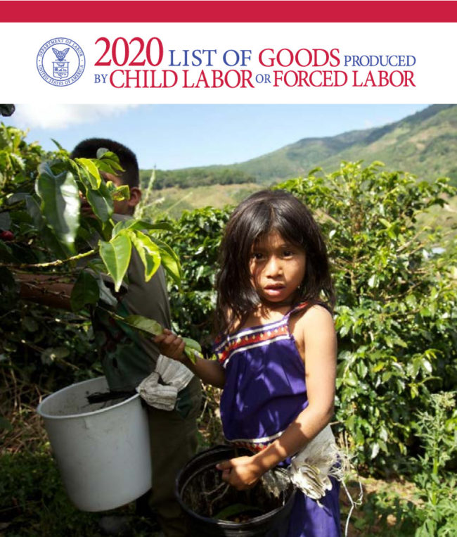 The Bureau of International Labour Force of United States Department of Labour - US DoL