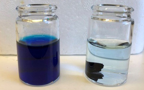 Two bottles, one with clear liquid, the other with dark blue liquid.