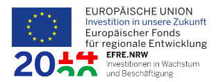 logo-erdf
