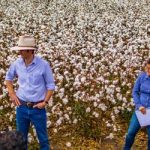 Cotton Australia’s Cotton Jobs Website proves overseas workers want Agriculture jobs