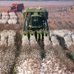 The USDA Cotton Ginning Laboratory resolves to prioritize post-harvest technology