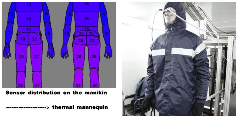 Thermal Manikin – The latest laboratory equipment for analysing the comfort of textile garments