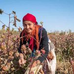 Lifting of the boycott of Uzbek cotton will create of millions of new jobs, says Chairperson of the Oliy Majlis