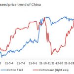 China: Cotton linter can surge like cottonseed