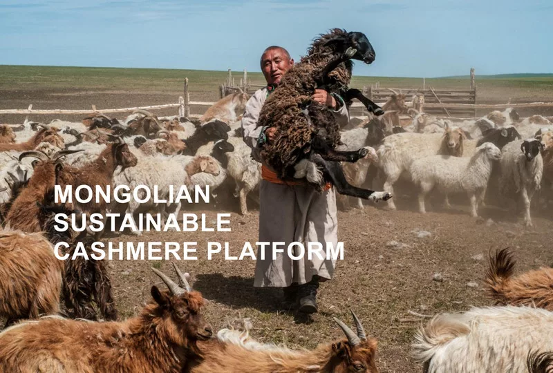 Sustainable development of the cashmere sector in Mongolia