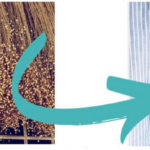 Technology Development for Linen Yarn Spinning from Linseed Fibre how linen is made into fabrics