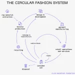 The truth about the cost of clothing CIRCULAR FASHION SYSTEM