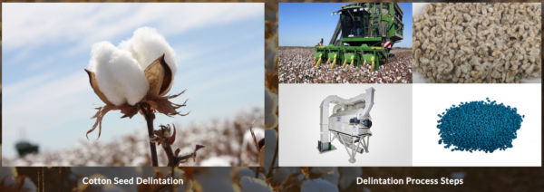 Taren delintation solutions increase productivity in cotton